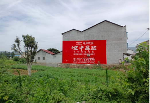 通山做墙体广告的意义
