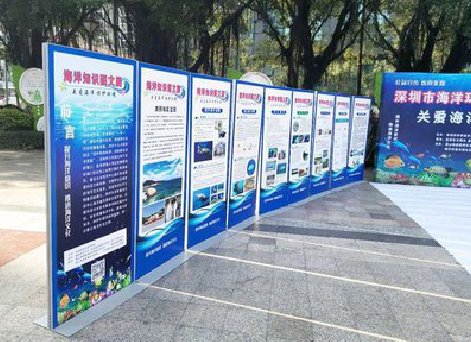 通山KT板的种类和知识。